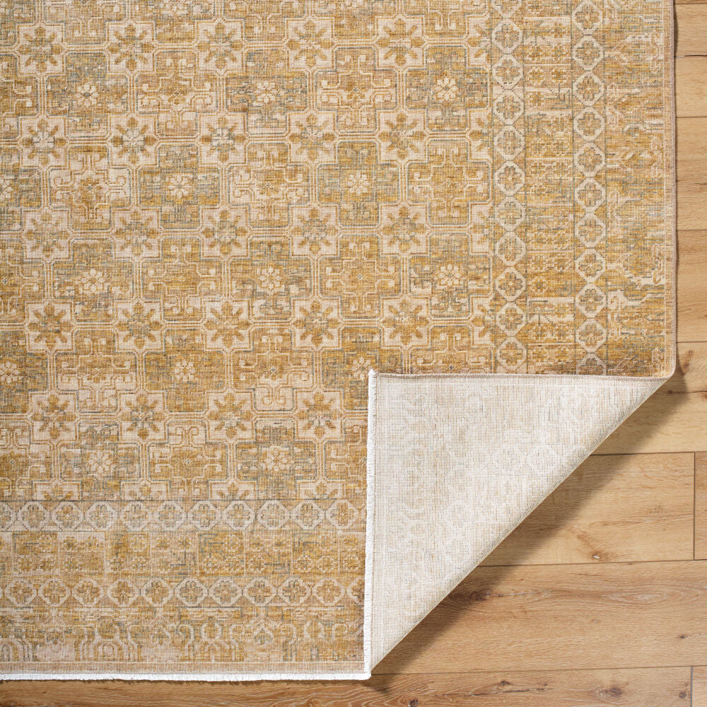 Renaissance BORI-2303 Light Beige / Tan Rug