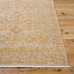 Renaissance BORI-2303 Light Beige / Tan Rug