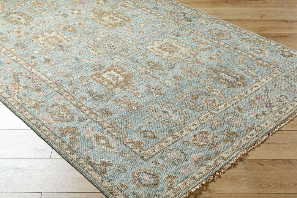 Biscayne BSY-2305 Dusty Sage / Light Brown Rug