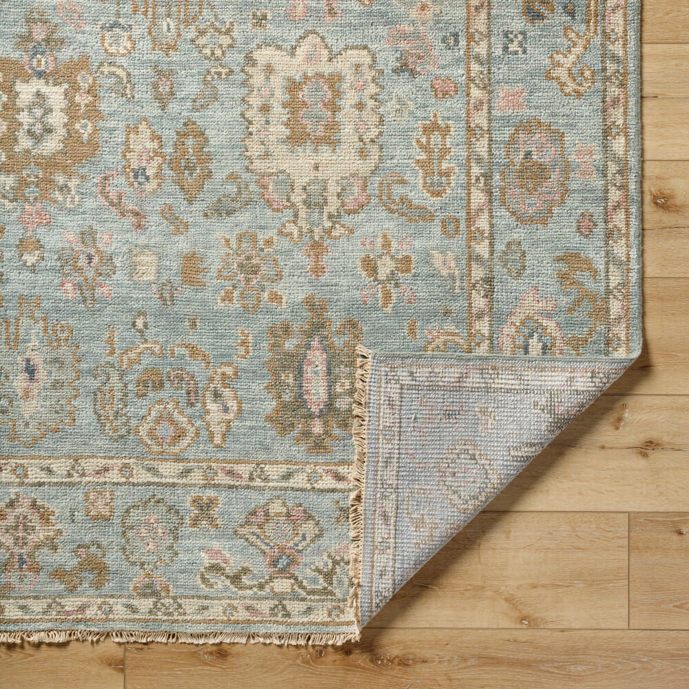 Biscayne BSY-2305 Dusty Sage / Light Brown Rug