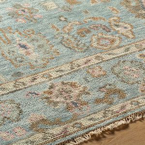 Biscayne BSY-2305 Dusty Sage / Light Brown Rug