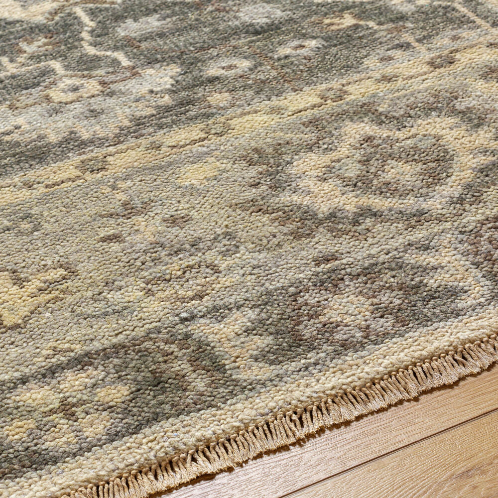 Biscayne BSY-2316 Brown / Ivory Rug