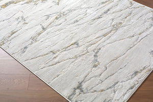 Amman BTA-2300 Beige / Brown Rug