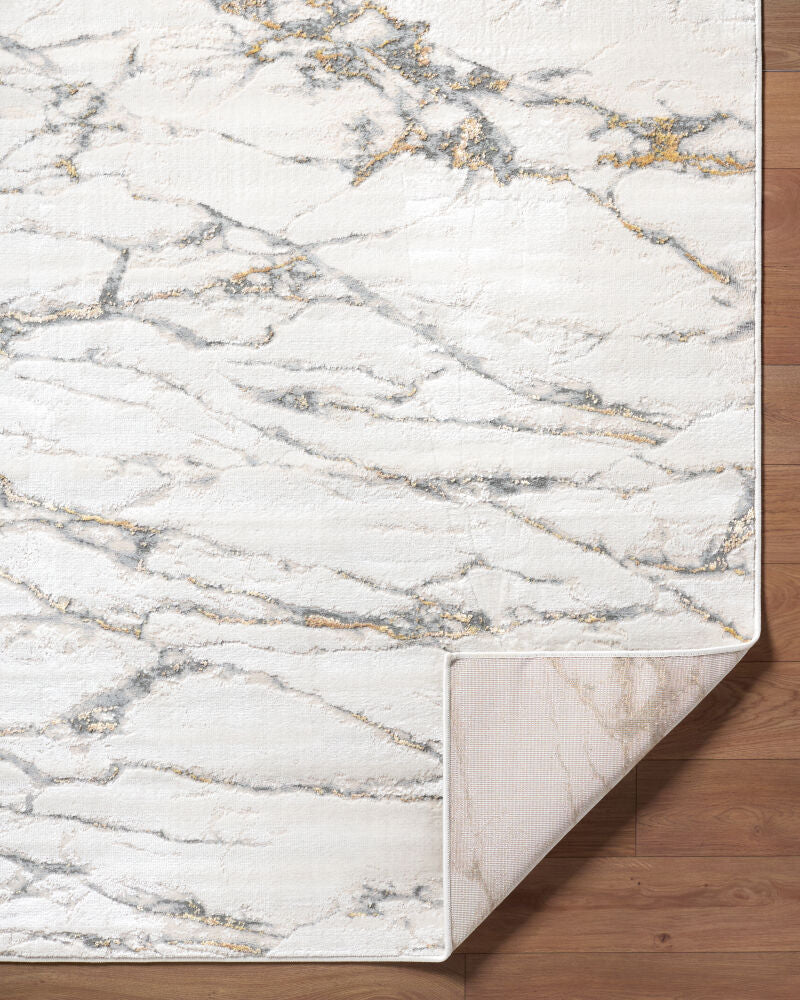 Amman BTA-2300 Beige / Brown Rug