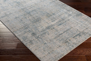 Brunswick BWK-2301 Dusty Sage / Light Gray Rug