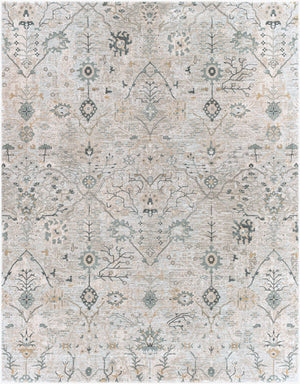 Brunswick BWK-2316 Deep Teal / Dusty Sage Rug