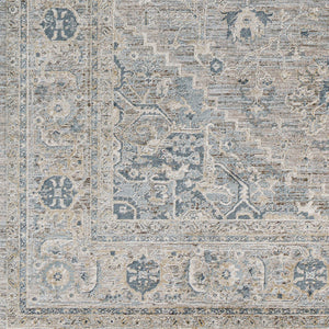 Brunswick BWK-2319 Dusty Sage / Light Gray Rug
