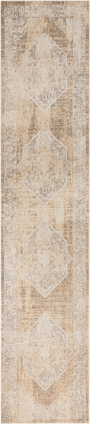 Astra Machine Washable ASW13 Beige Rug