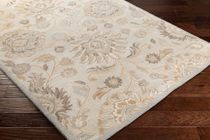 Caesar CAE-1192 Ivory / Light Brown Rug