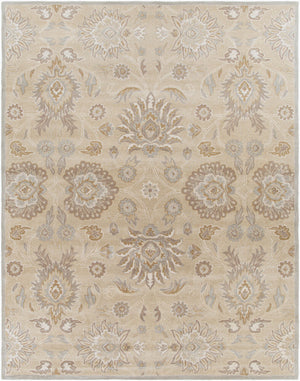 Caesar CAE-1192 Ivory / Light Brown Rug