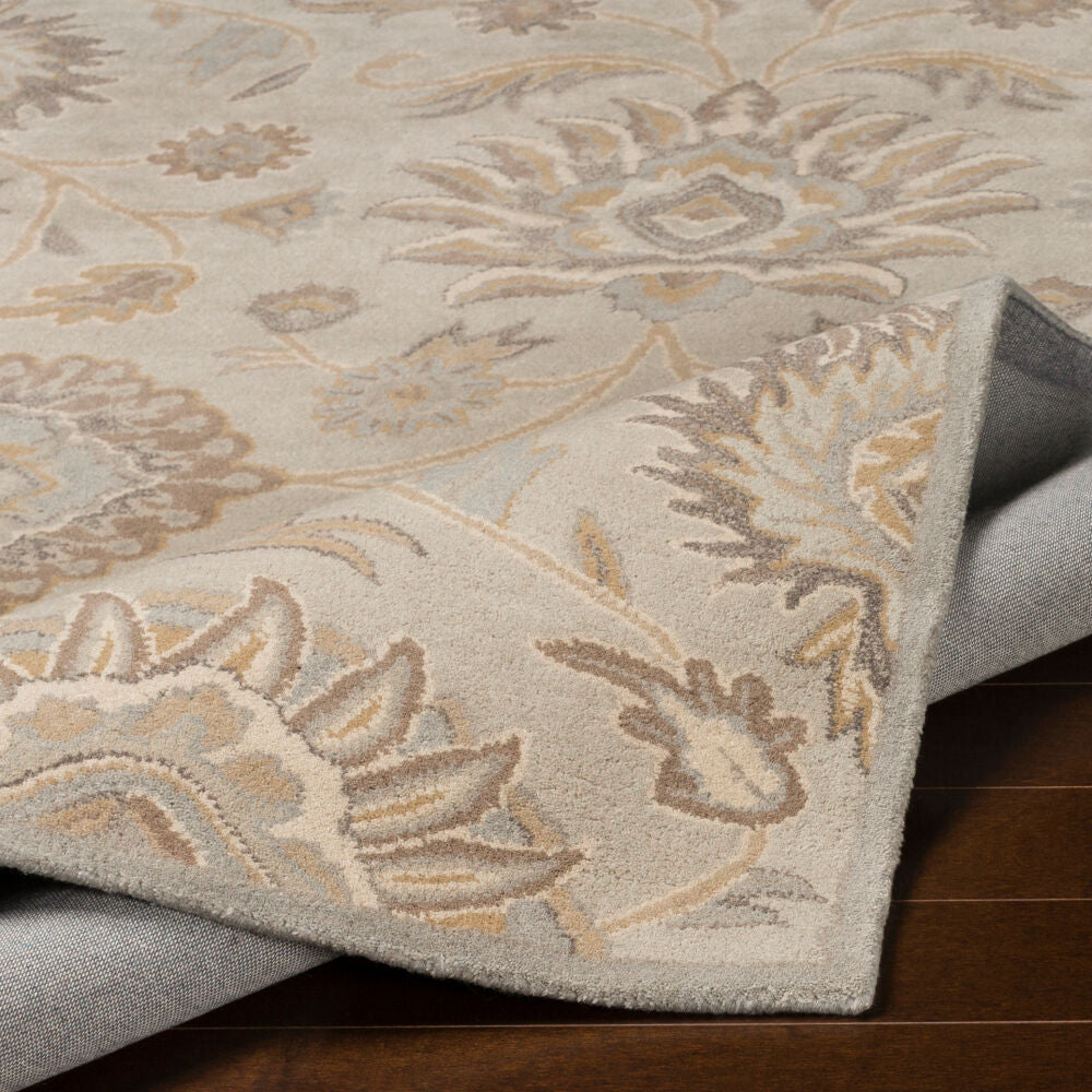 Caesar CAE-1192 Ivory / Light Brown Rug