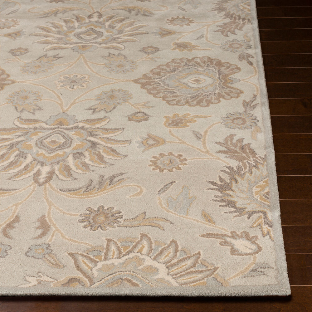 Caesar CAE-1192 Ivory / Light Brown Rug