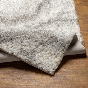Cloudy Shag CDG-2306 Gray / Off-White Rug