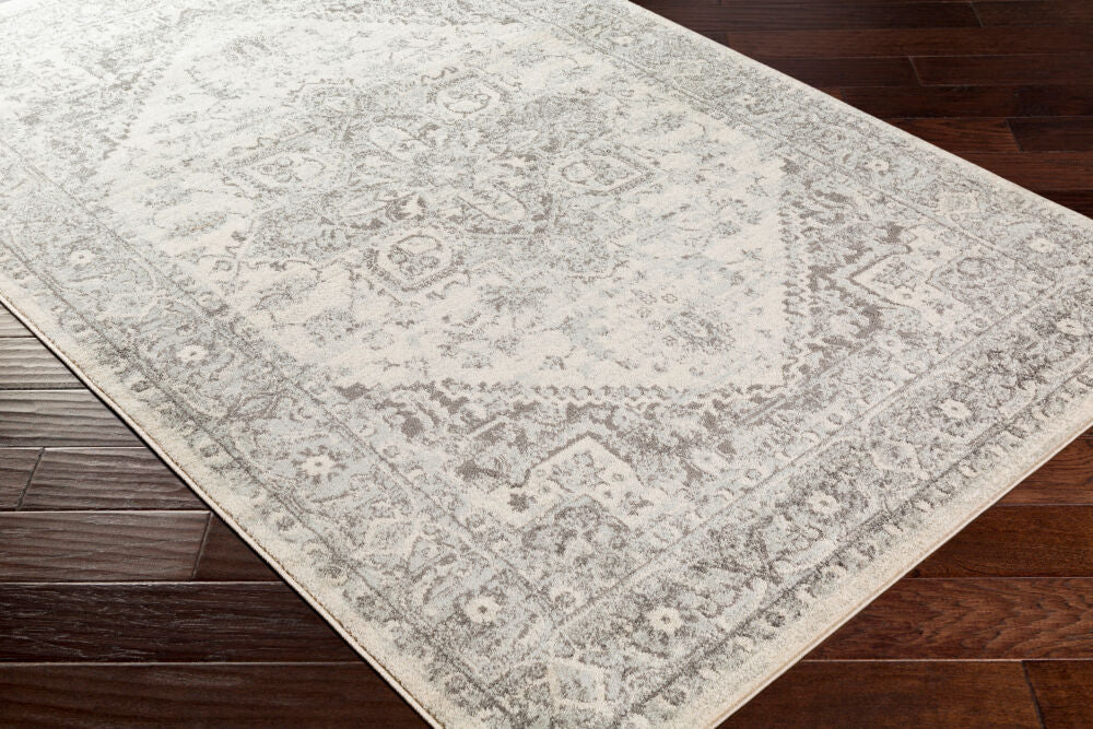 Chester CHE-2312 Charcoal / Light Beige Rug
