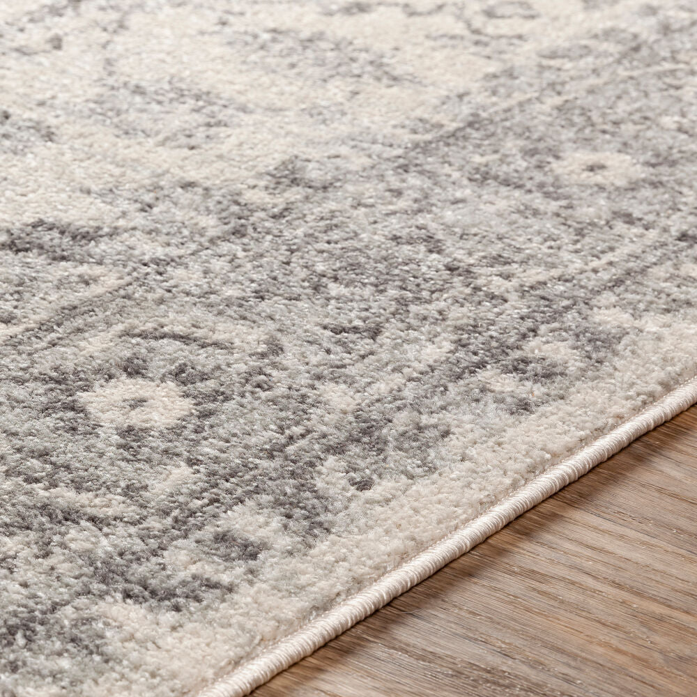 Chester CHE-2312 Charcoal / Light Beige Rug