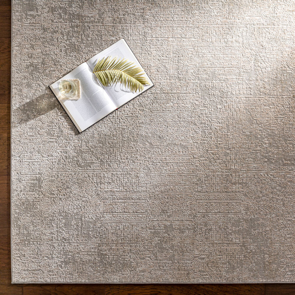 Carmel CRL-2300 Gray / Light Gray Rug