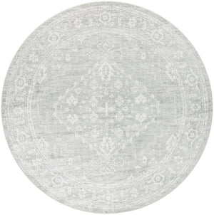 Astra Machine Washable ASW11 Light Grey Rug