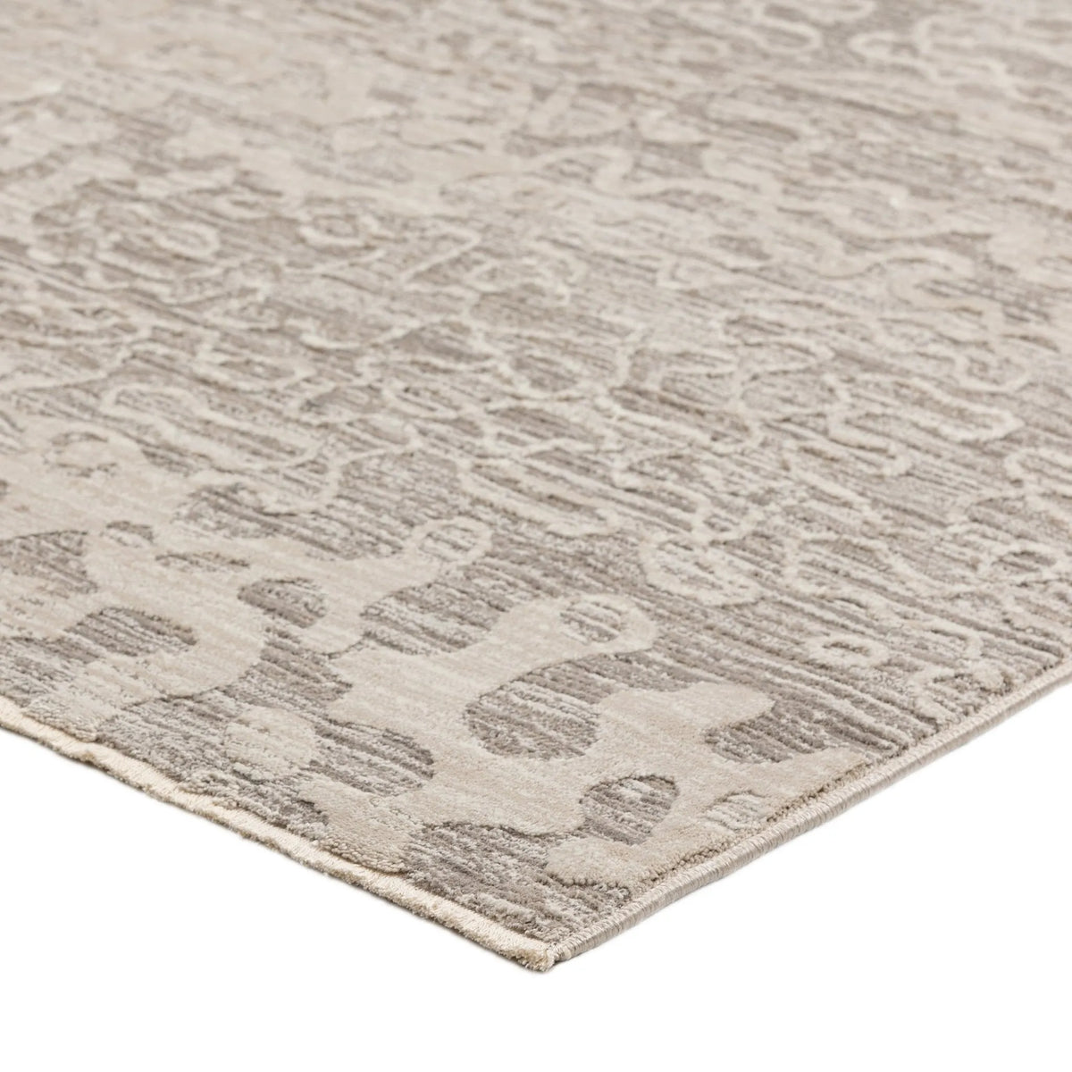 Denizi DZ6 Silver Rug - Rug & Home