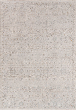 Irving 15556 Light Grey Beige Rug