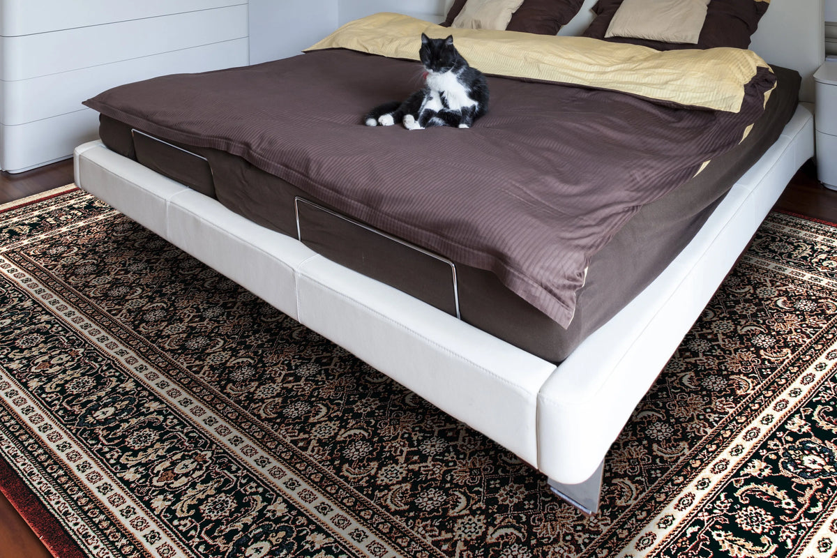 Brilliant 72240-330 Red Rug