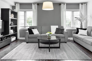 Arten 3750-900 Grey Rug