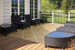 Newport 96003-8008 Orange Rug