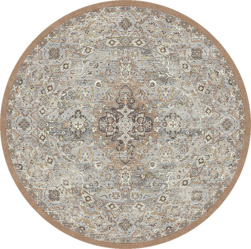 Ancient Garden 57275 Beige Multi Rug