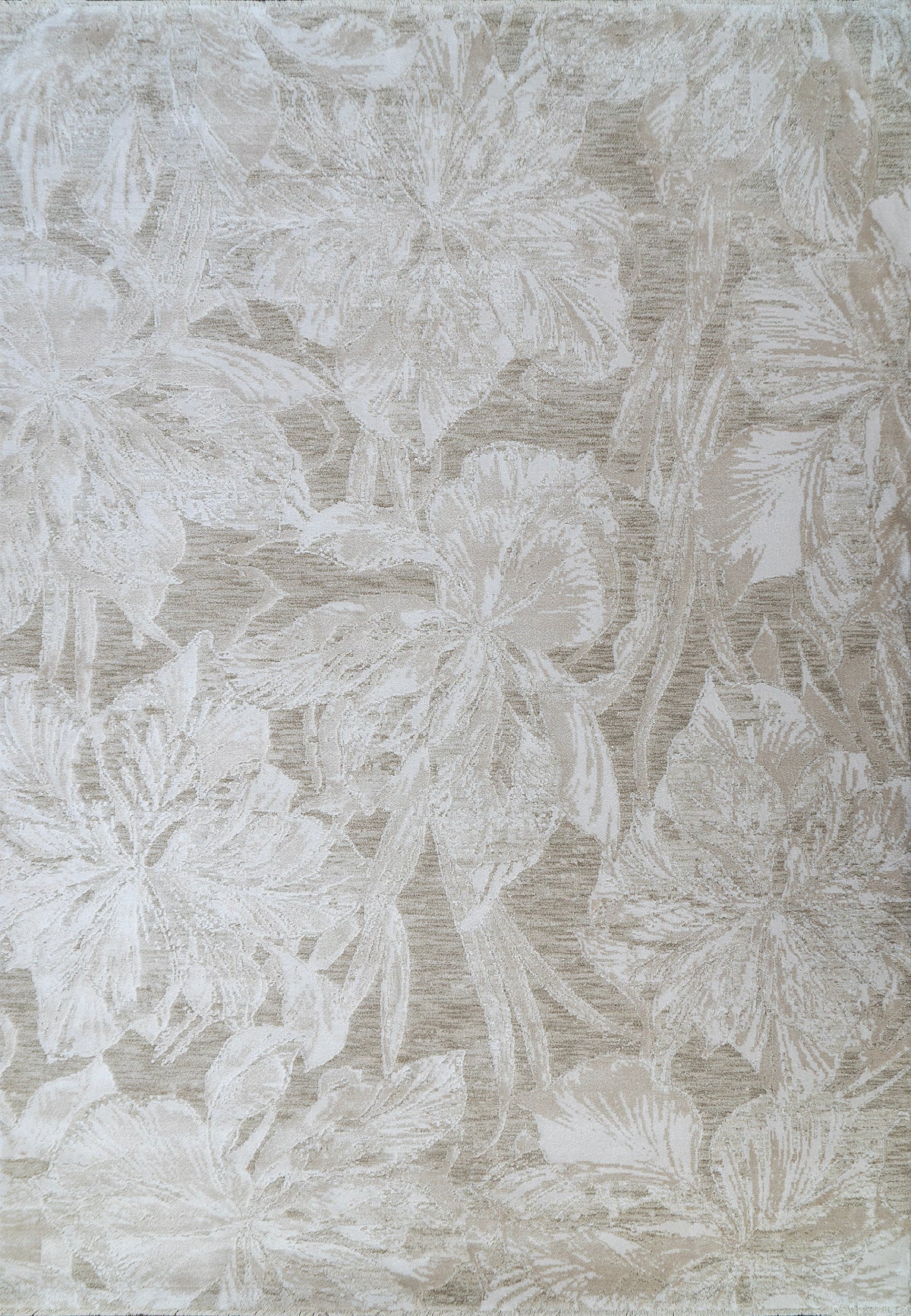 Canyon 15474 Beige Light Beige Rug