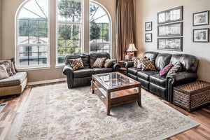 Rojin 4181-989 Grey/Beige Rug