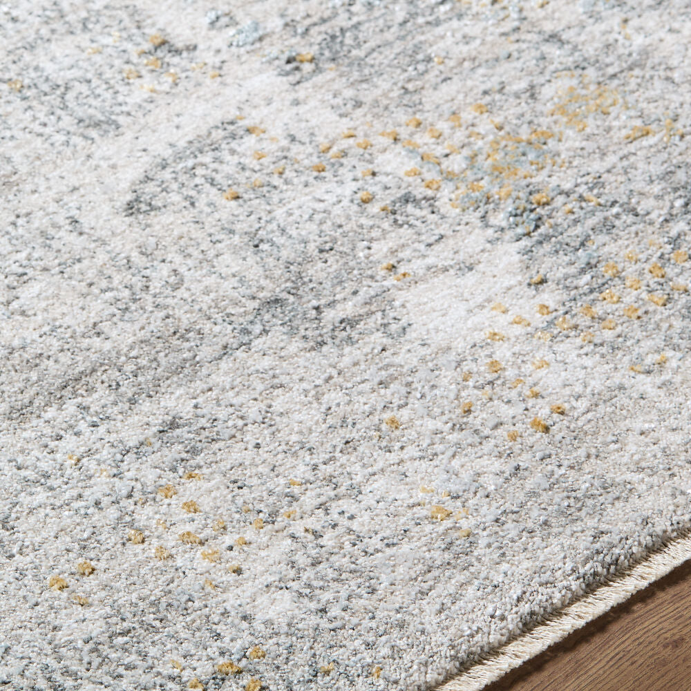 Dresden DRE-2321 Denim / Gray Rug