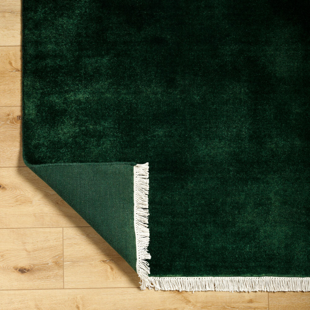 Evergreen EVG-2313 Rug