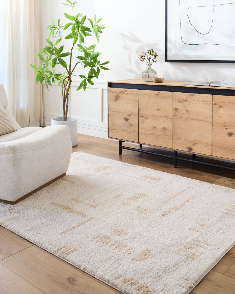 Fossay Shag FSG-2301 Beige / Light Beige Rug