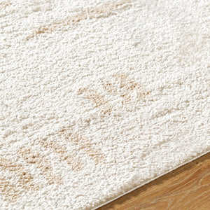 Fossay Shag FSG-2301 Beige / Light Beige Rug