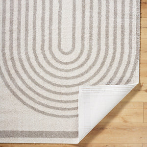 Fossay Shag FSG-2313 Light Beige / Medium Gray Rug