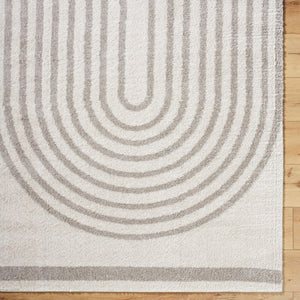 Fossay Shag FSG-2313 Light Beige / Medium Gray Rug