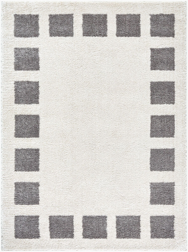 Fossay Shag FSG-2316 Charcoal / Light Beige Rug