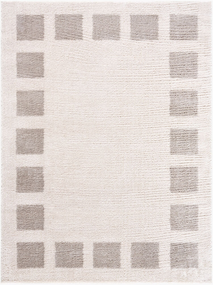Fossay Shag FSG-2317 Light Beige / Medium Gray Rug