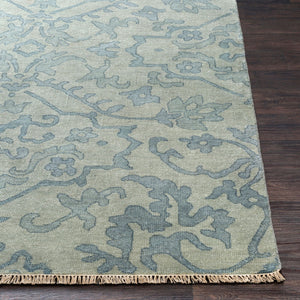 Hillcrest HIL-9036 Blue / Light Sage Rug
