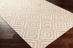 Jardin JRD-2300 Dark Brown / Light Beige Rug