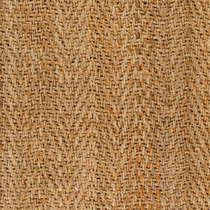 Kochi KOC-2300 Tan Rug