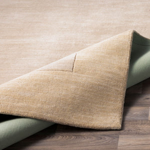 Mystique M-344 Beige Rug