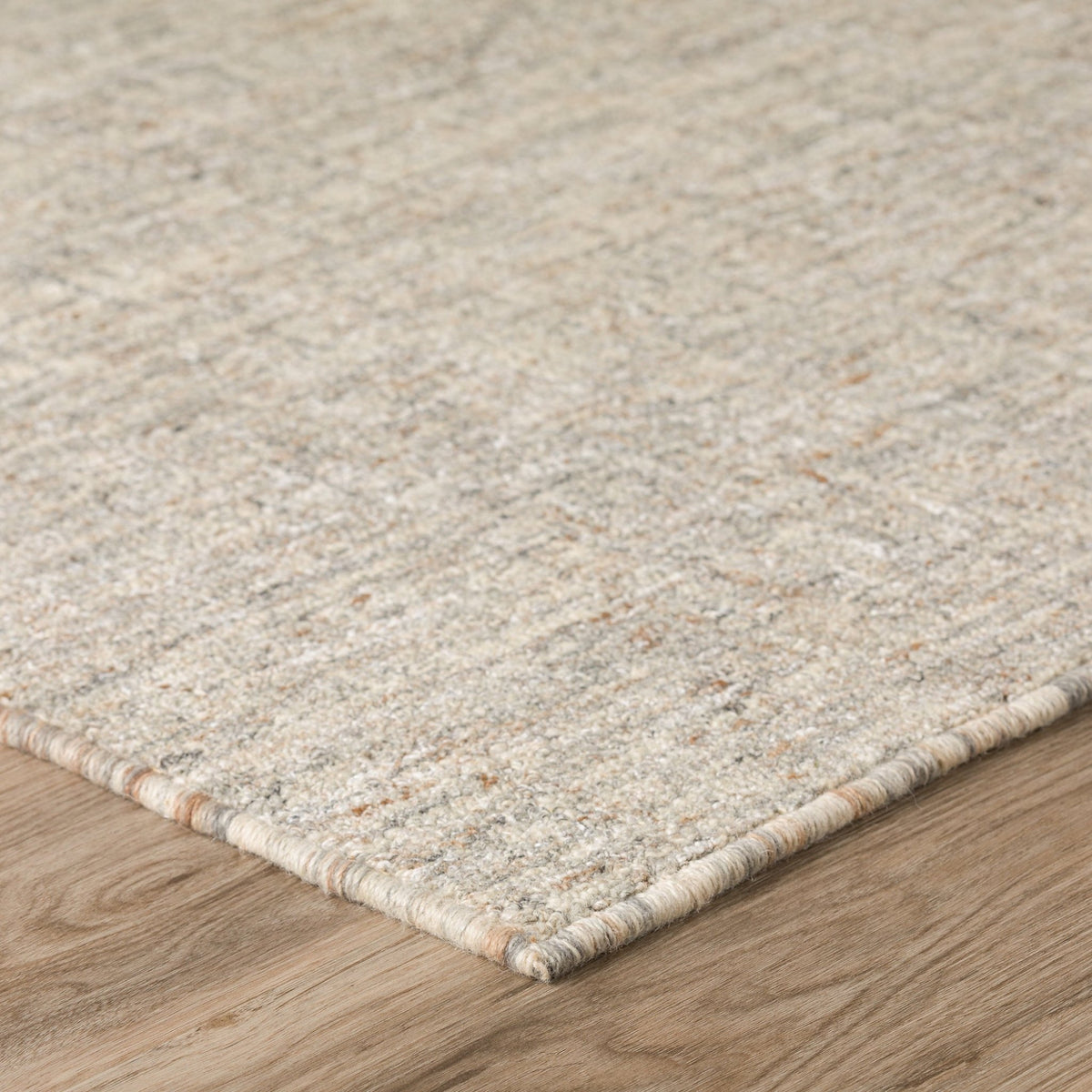 Mateo ME1 Putty Rug - Rug & Home