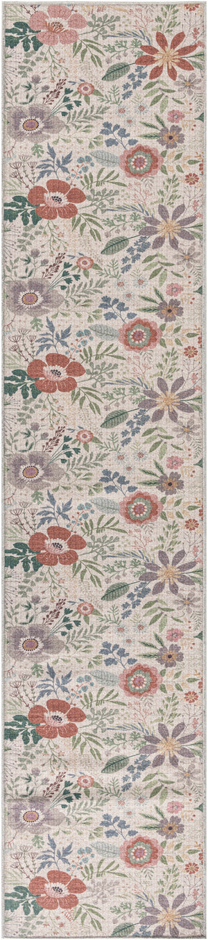Nourison Washables NWB06 Cream Multicolor Rug