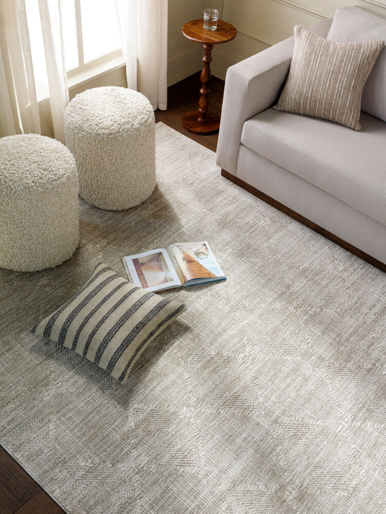 Masterpiece MPC-2313 Cream / Light Gray Rug
