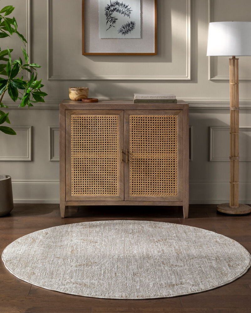 Masterpiece MPC-2317 Cream / Light Gray Rug