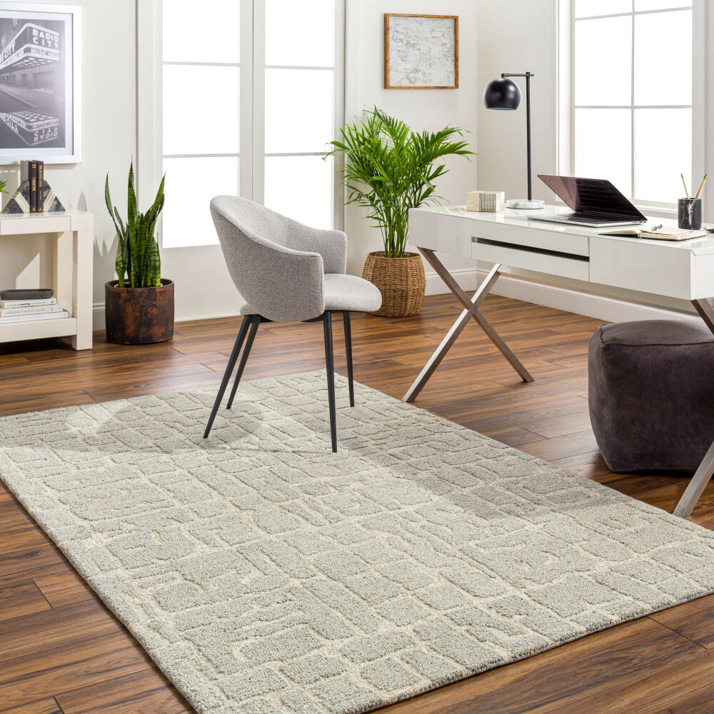 Madelyn MYN-2305 Light Beige / Light Gray Rug