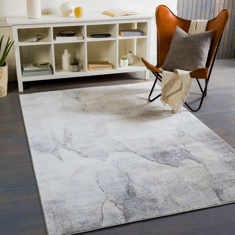 Norland NLD-2310 Beige / Charcoal Rug