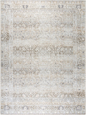 Rainier PNWRN-2302 Brown / Light Brown Rug