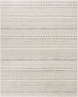 Pisa PSS-2304 Charcoal / Light Slate Rug