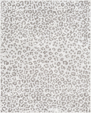 Pisa PSS-2323 Charcoal / Light Gray Rug